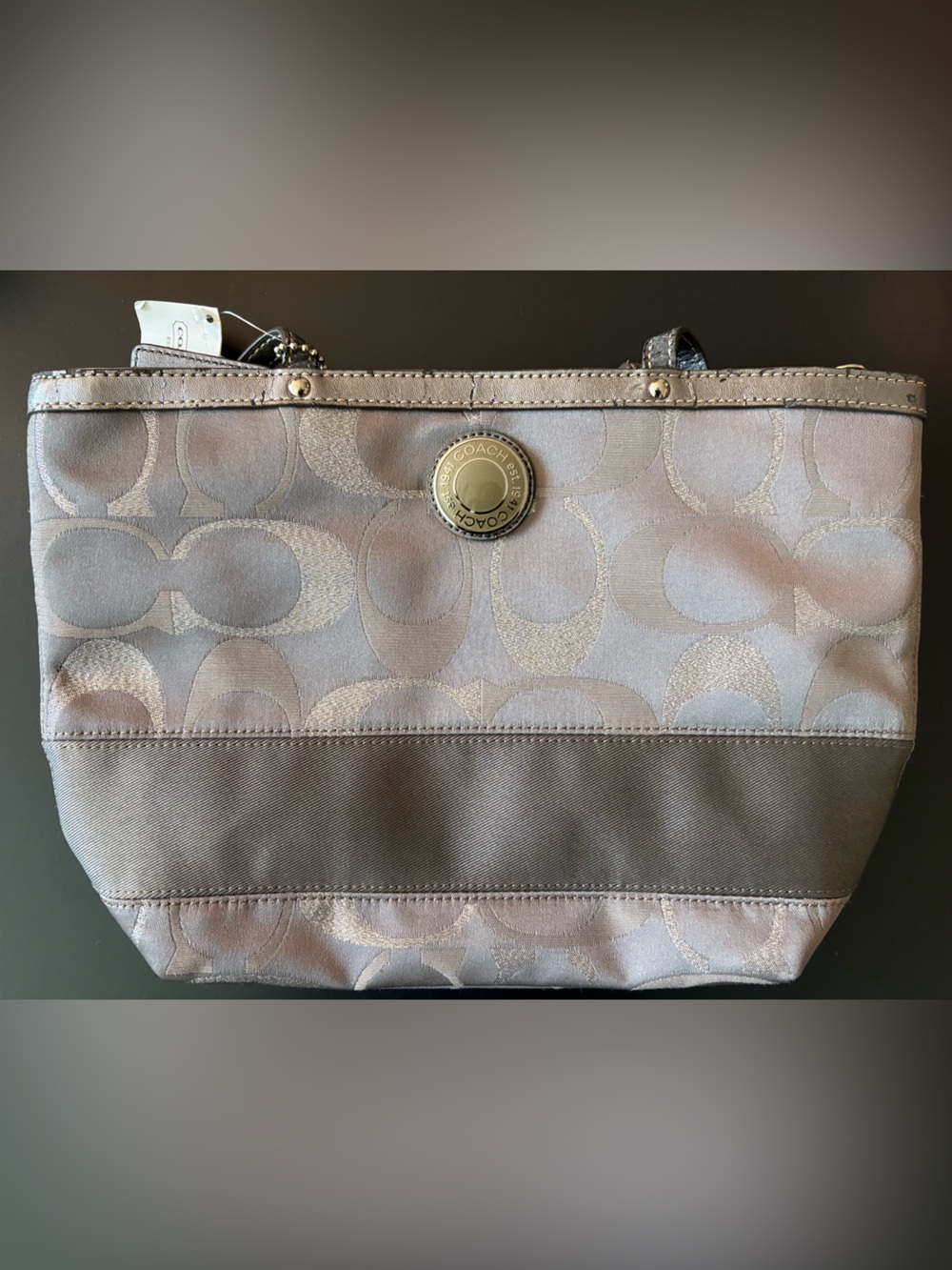 Coach Signature Tote